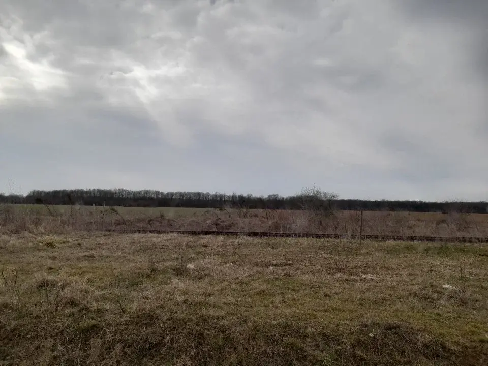 Teren Nod Autostrada A3 Moara Vlasiei 14 Ha vedere la Padure img 2